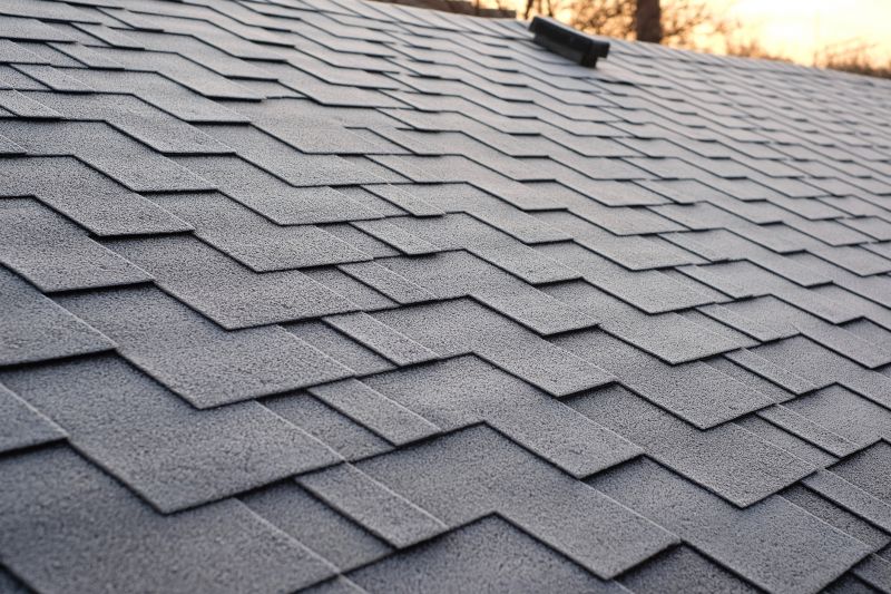Long-Lasting Asphalt Roofs