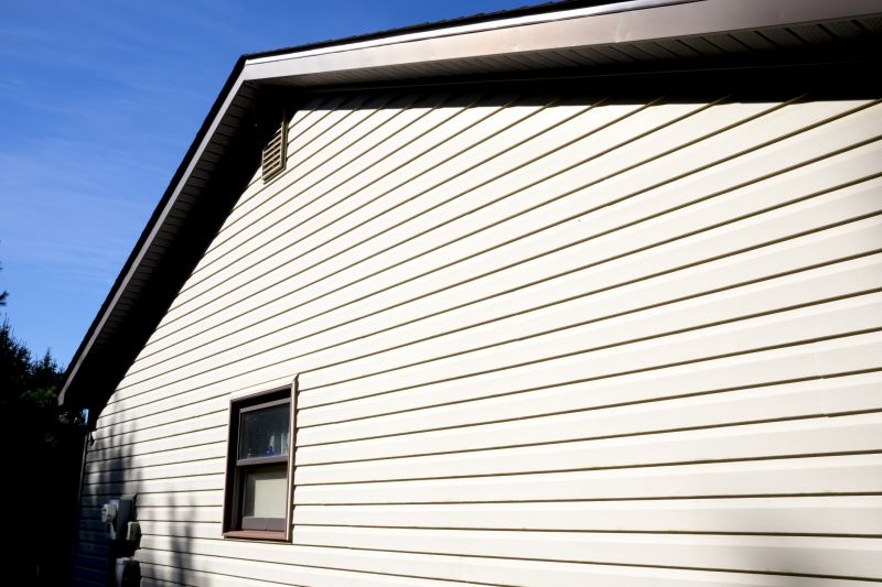 Vinyl Siding Replacement